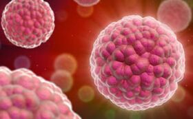 sintomi e trattamento del papillomavirus umano